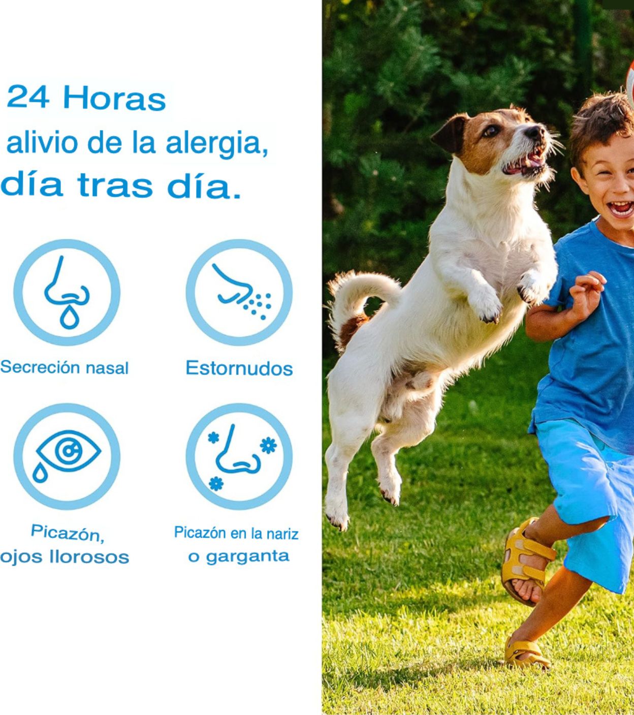 Claritin infantil 24 horas antihistamínico tableta masticable sabor a uva, 40 unidades